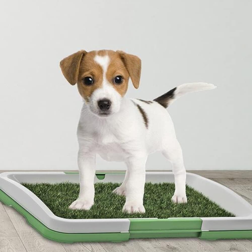 Dog Training Toilet Puppy Pee Potty Pad Splash Proof Artificial Grass Pad Tray