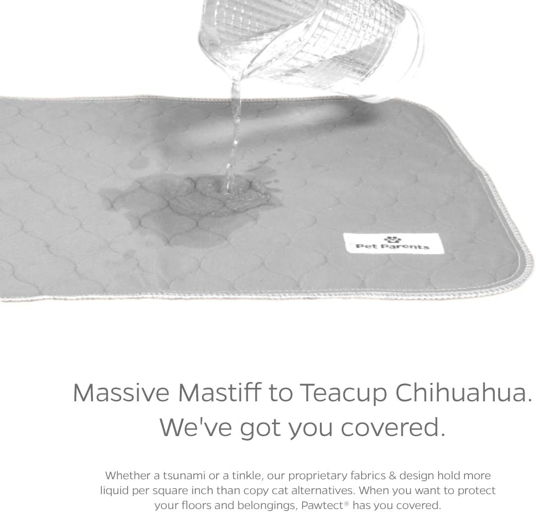 Pawtect Washable Dog Pee Pads 2 Pack 18×24 inch Reusable Waterproof Grey