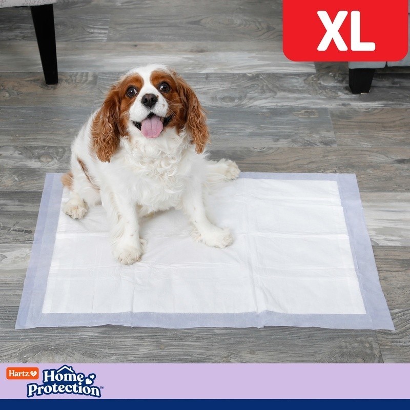 XL Dog Pads FlashDry Odor Control Lavender Scent 90 Count Leak Proof 6 Layer New