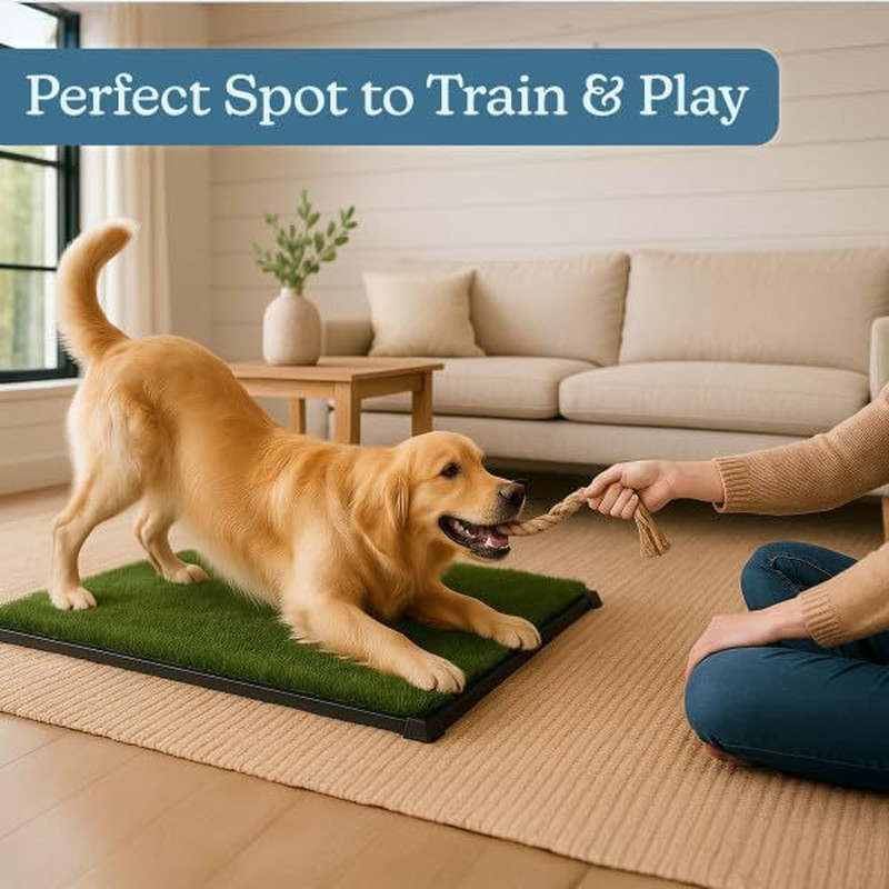 Artificial Grass Puppy Pee Pad for Dogs and Small Pets with Tray – 20X30 Inches
