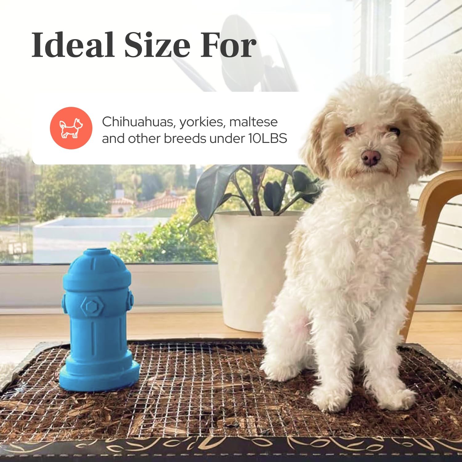 Small Dog Fire Hydrant 4×7 Silicone Soft Potty Training Aid for Small Breeds …