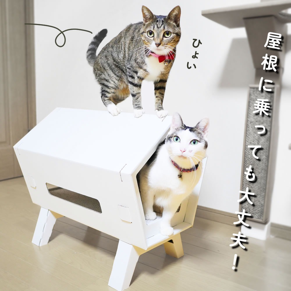 Value Pack: 2 Mirudan Sets MIRUne HOUSE White Cat Scratcher House
