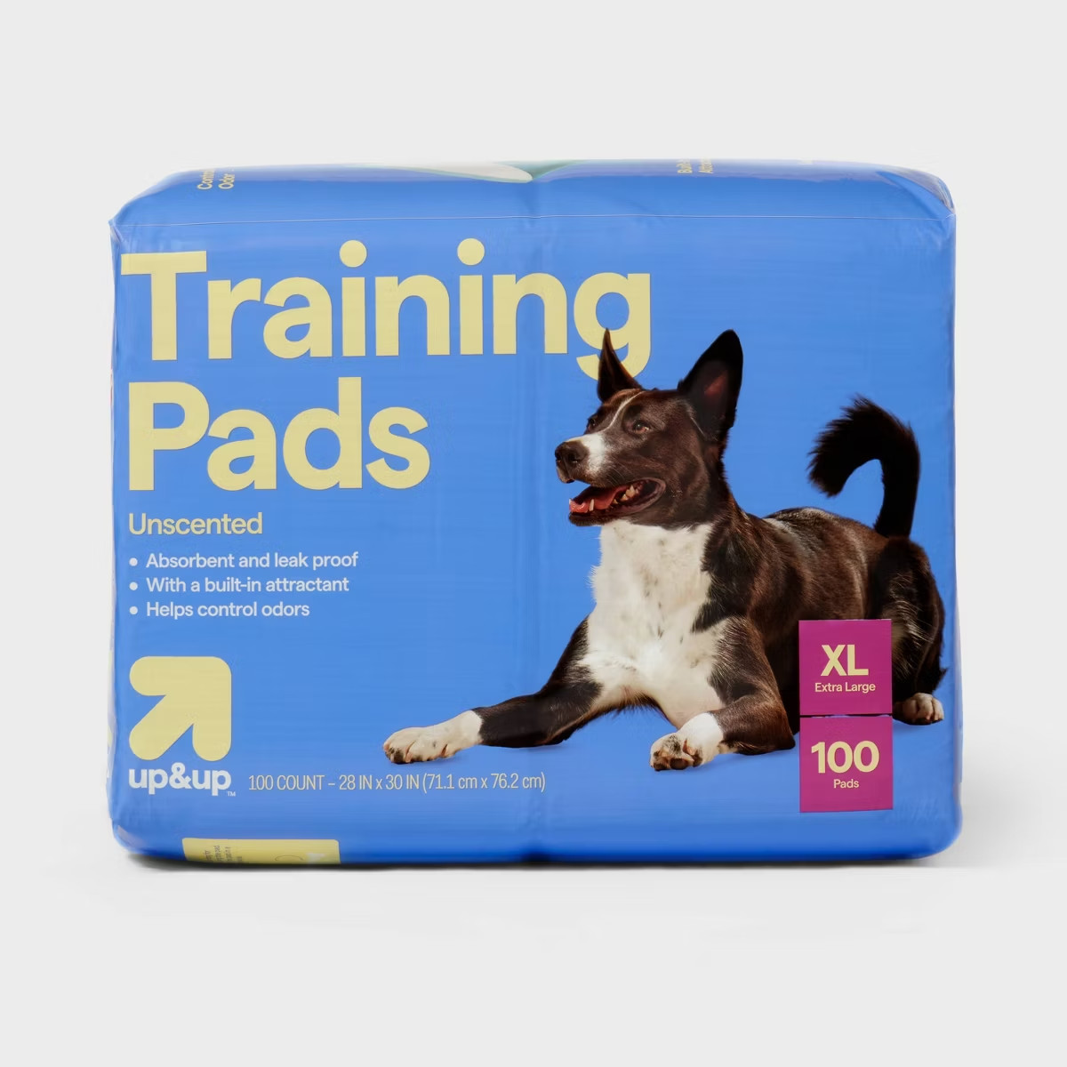 Dog Training Pads – XL – 100ct – up&up™: Disposable, All Ages, Pet Training Pads