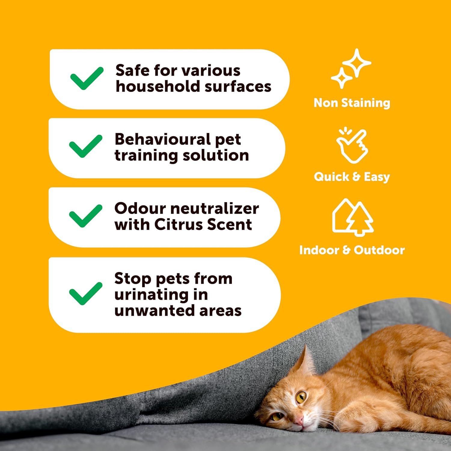 Potty Training Spray for Dogs Cats -17Oz- Non-Staining, Indoor & Outdoor – Train