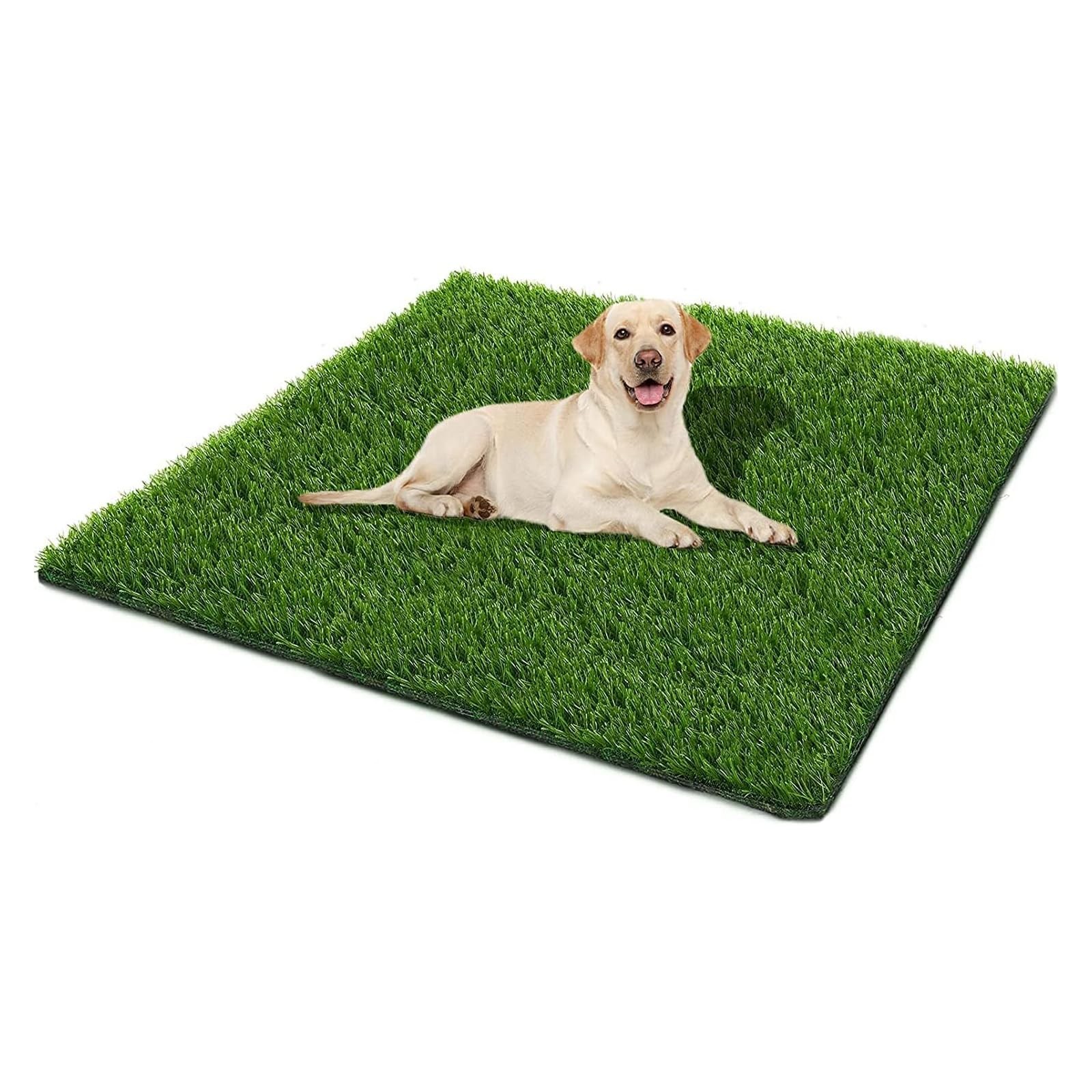 SSRIVER Dog Grass Pad,51.2×31.5In Fake 51.2×31.5 Inch (Pack of 1), Green