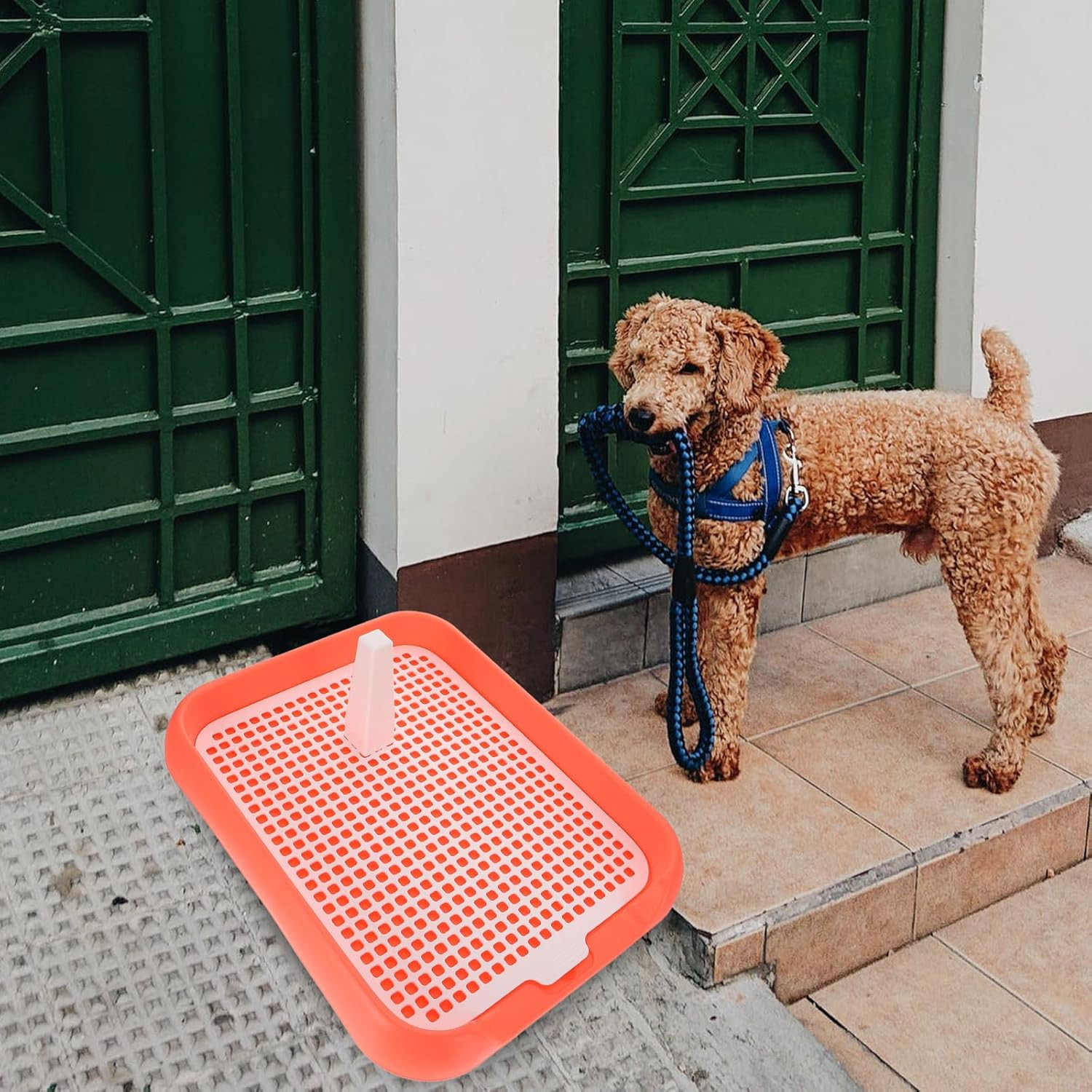 Mesh Dog Toilet Puppy Potty Training Tray Indoor Dog Pee Pad Holder Anti-Slip Li