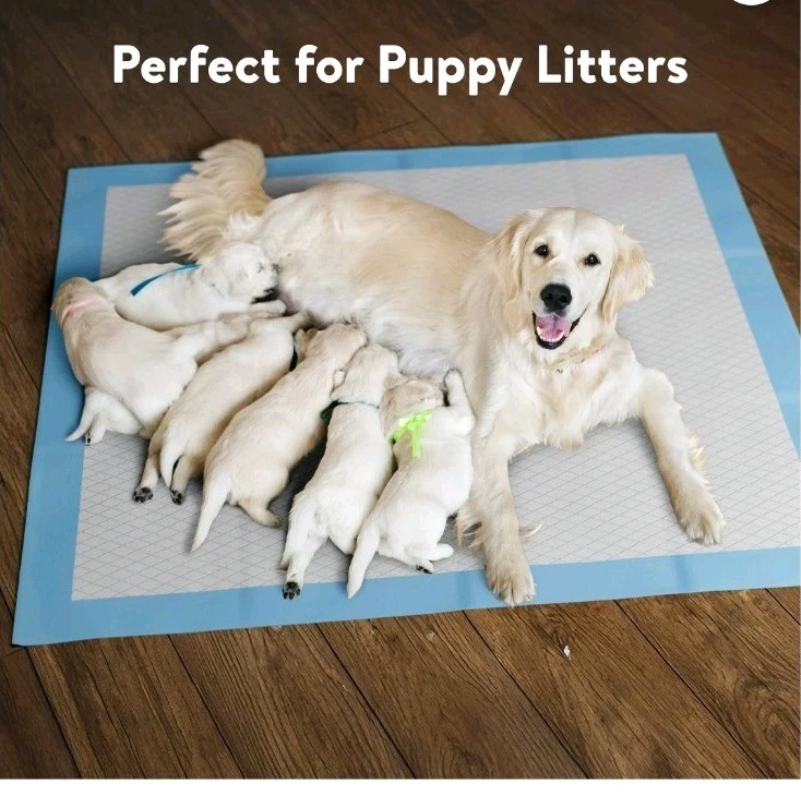 Brilliance Puppy Training Pads, 6-Ply Mess-Free Disposable Dog Pee Pads, XXL,…