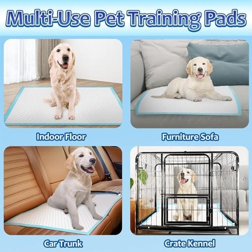 Dogcator Extra Large Dog Pee Pads 30×36 Inch 30 Count Heavy Absorbent Puppy Pads