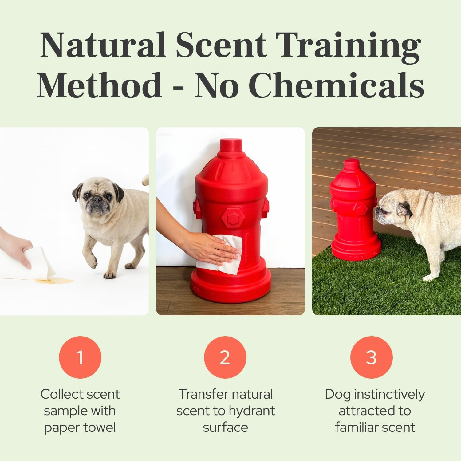 Large Dog Fire Hydrant 8X14 for Potty Training – Indoor Outdoor Male Dog Pee Tra