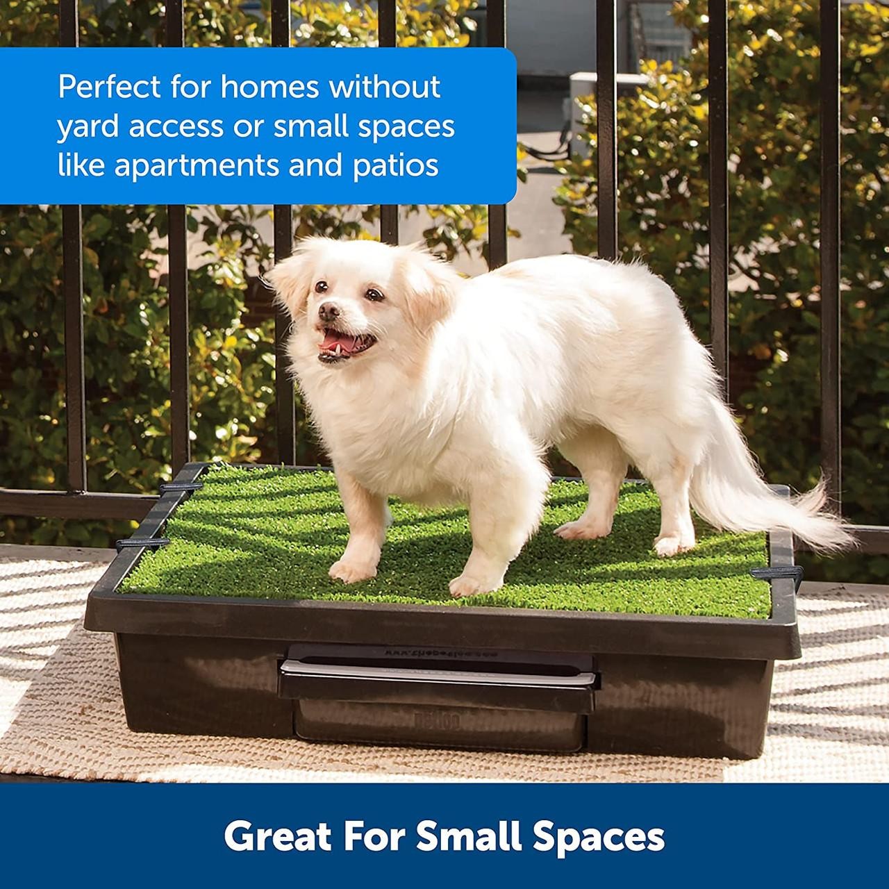 PetSafe Pet Loo Portable Dog Potty, Alternative to Puppy Pads – Small PWM00-1449
