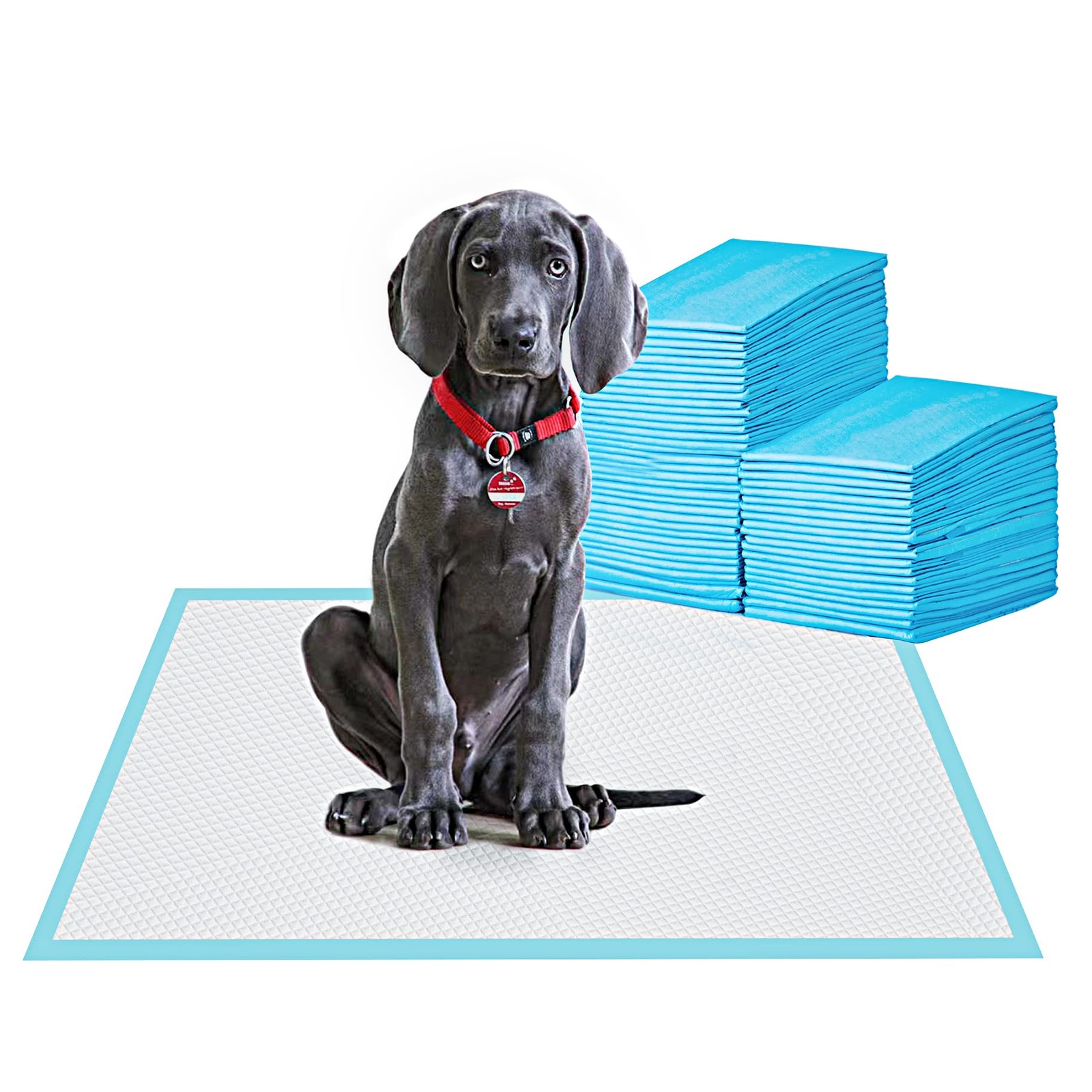 BESTLE Large Pet Training and Puppy Pads Pee Pad for 24″x24″-80 Count, Blue
