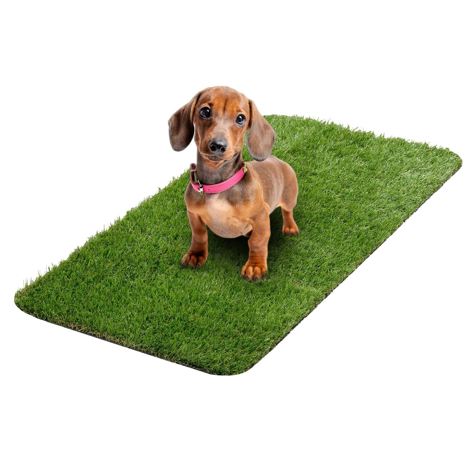 Ottomanson Artificial Grass Potty Pad 15″ x 30″
