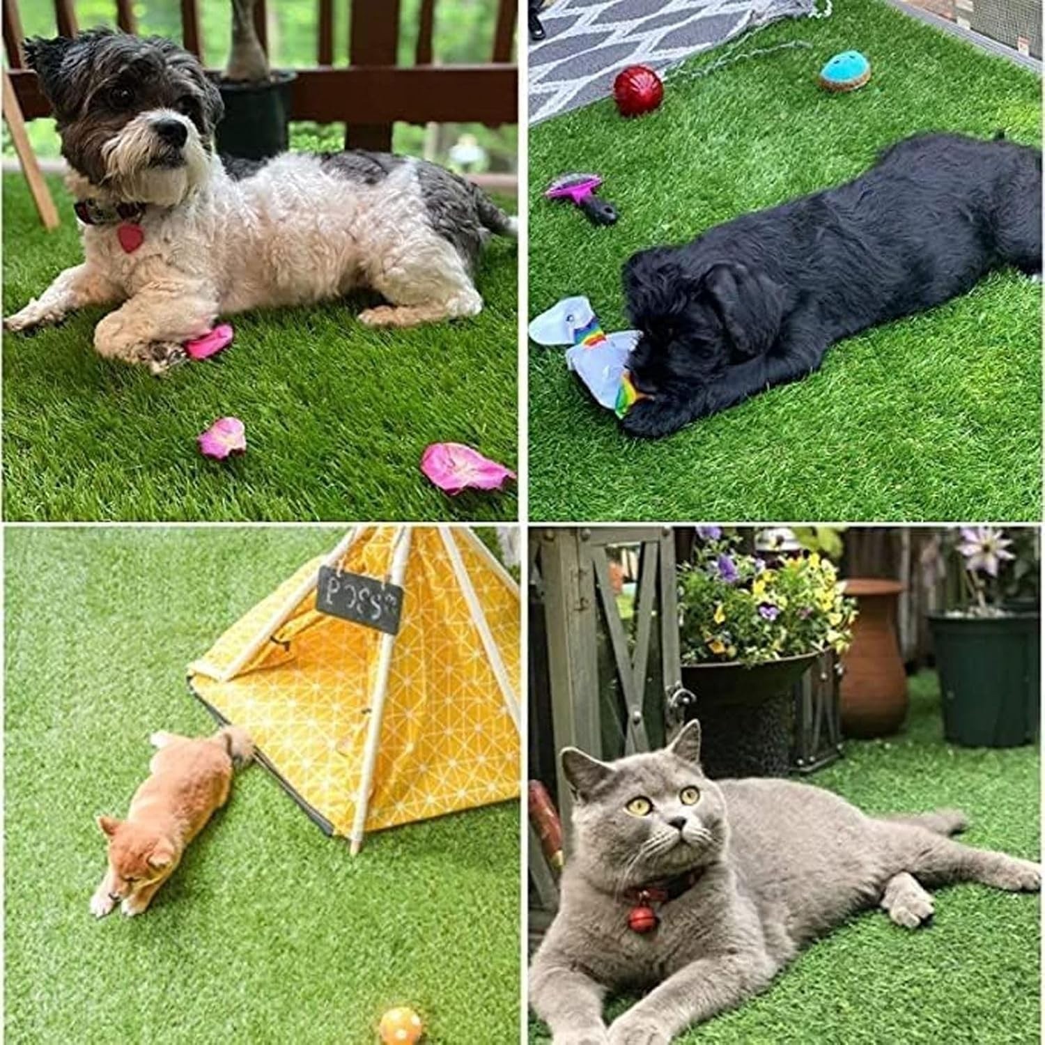 51.2×31.5 Inch Artificial Grass for Dogs – Durable, Weather-Resistant Pee Pad