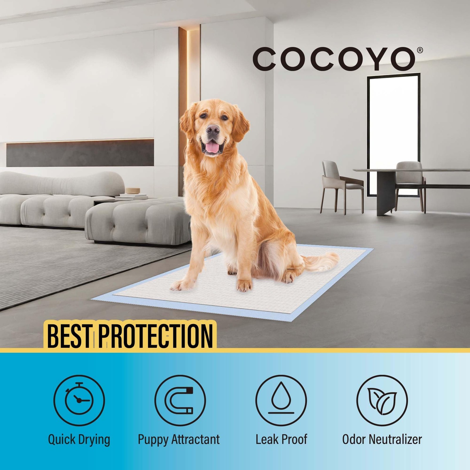 Value Training Pads, 40Count, 28″ by 34″
