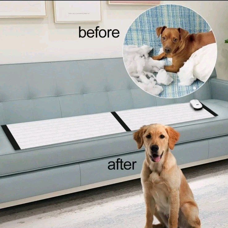 DOG CARE Pet Training Mat for Cats Dogs 60 x 12 Inches, 3 Training Modes TM01-1
