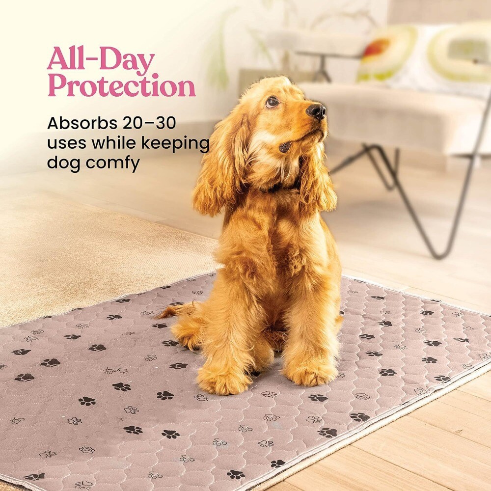 Washable Pee Pads for Dogs – Super Absorbent Reusable Puppy Pads 2Pack