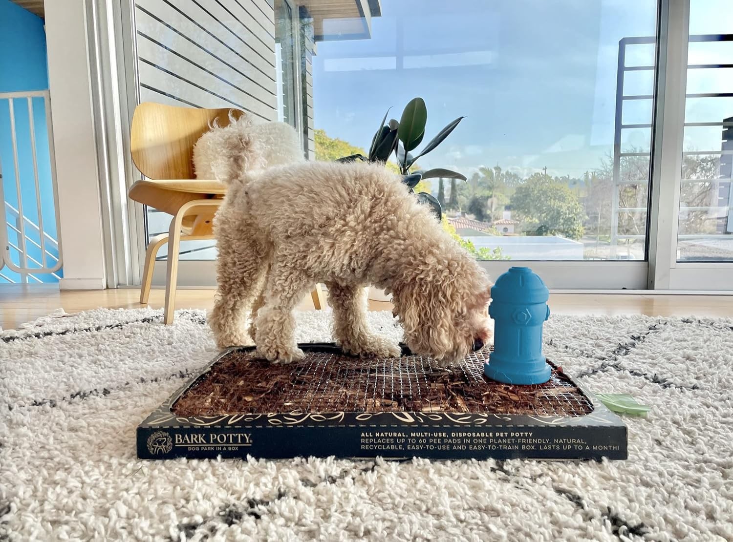 Silicone Potty Training Dog Fire Hydrant | Pee Training for Male Dogs | Blue
