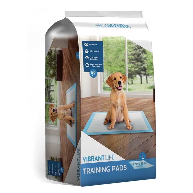 Large Dog Training Pads 22×22 50 Count Absorbent Potty Pads Odor Control New