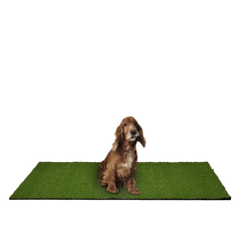 Puppy Pee Pad 3 ft. x 4 ft with Drainage Holes Realistic Artificial Grass Turf