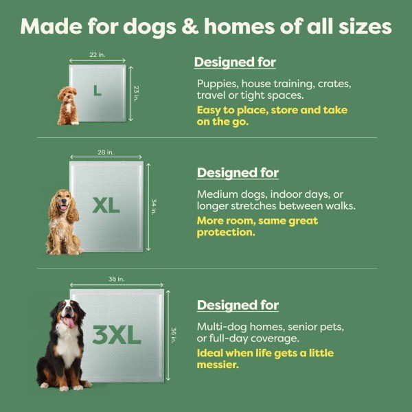 Max Absorbency Training Pee Pads – 3XL – Scented for Odor Control – 7ct