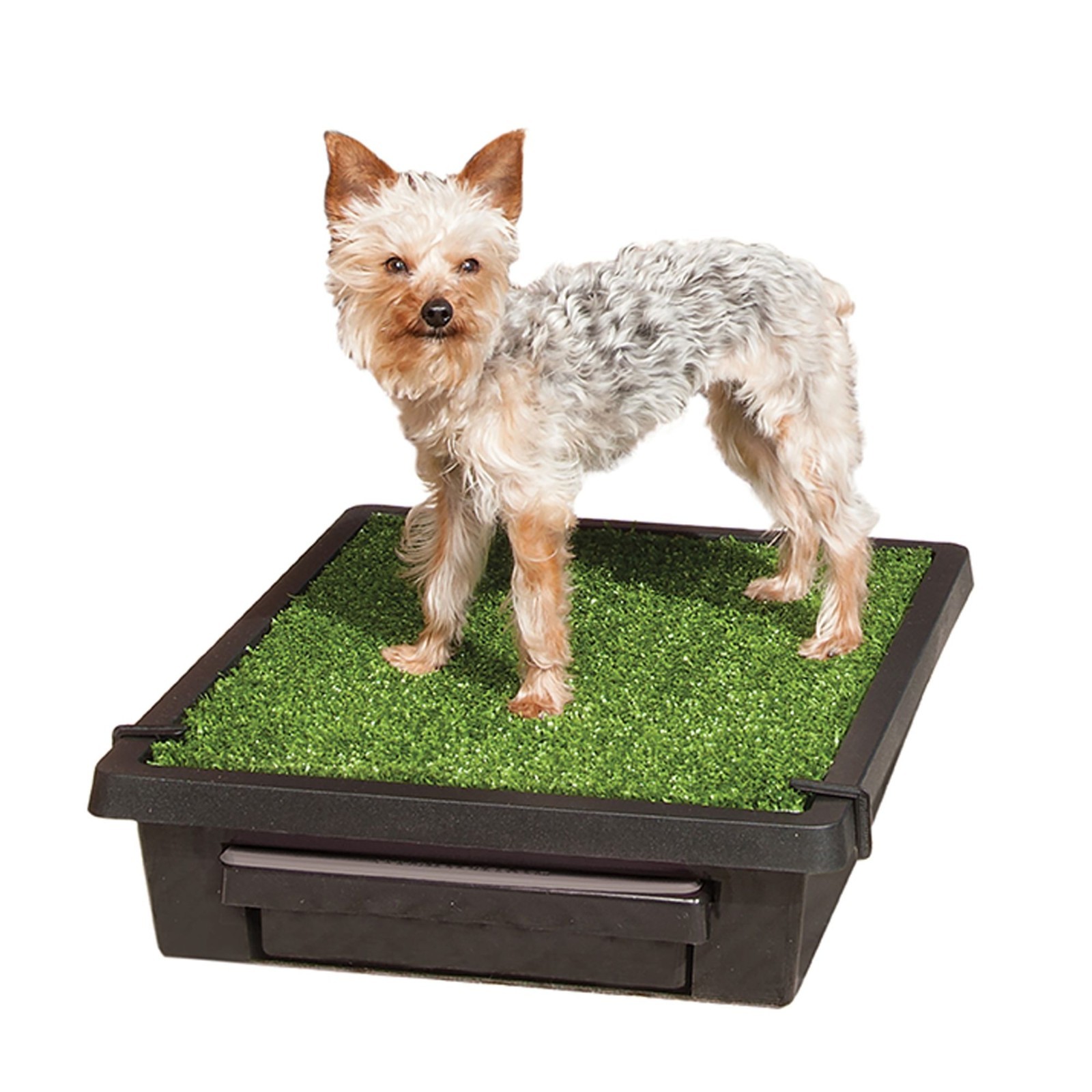 PetSafe Pet Loo Portable Grass Pad Dog Potty w/ Wee Sponge Powder, Small