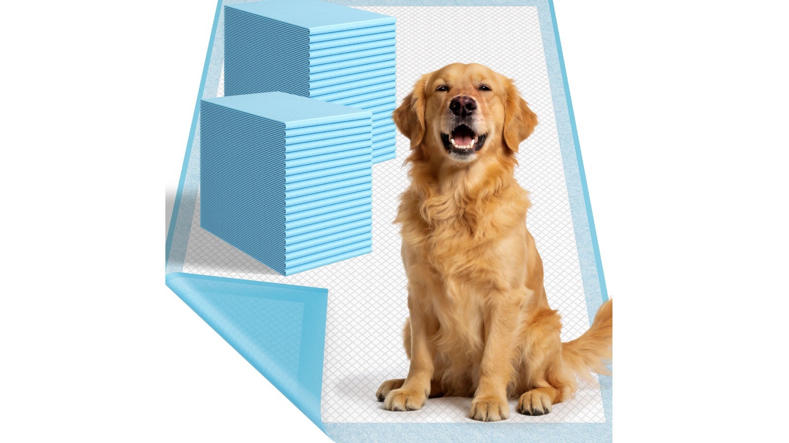 Extra Large Puppy Pee Pads 31″ x 47″ – 40 Count, Super Absorbent Leak-Proof Pott