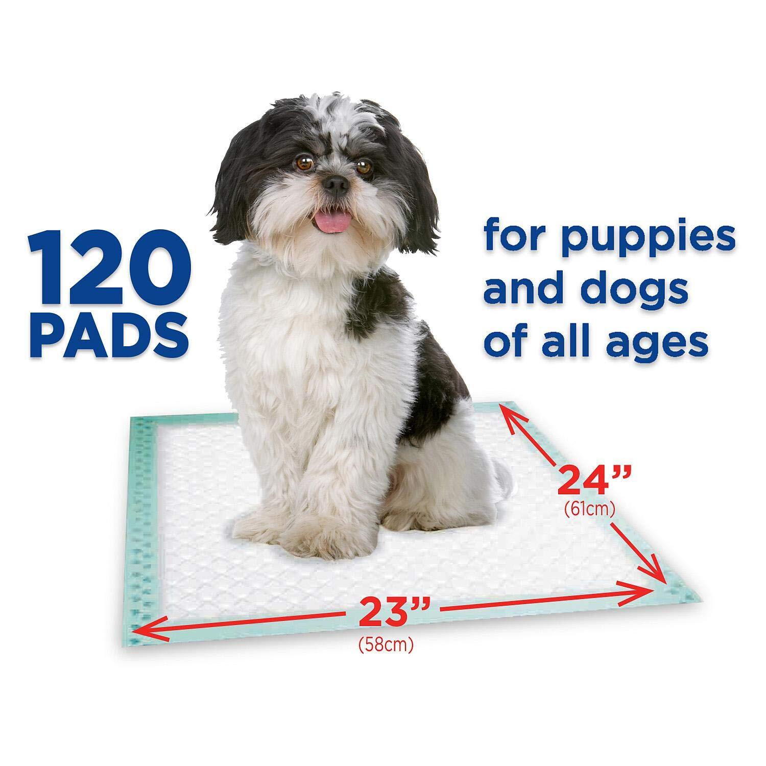 Bubbacare Member’s Mark Member’s Mark Puppy Multipurpose Absorbent Pads Net