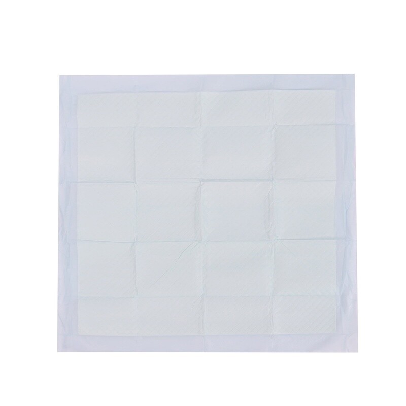 Large Dog Training Pads 22×22 50 Count Absorbent Potty Pads Odor Control New