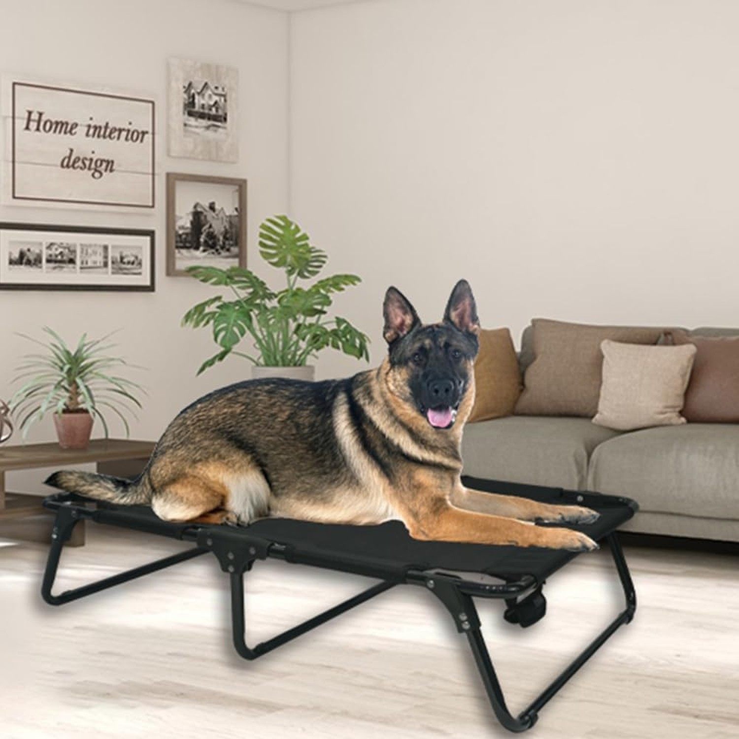 Outdoor Elevated Dog Bed Cooling Raised Dog Cots Black Pet Beds with Breathab…