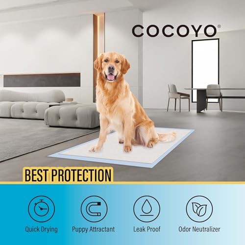 30 Best Value Training Pads – Regular Size 22″x22″ – Pack of 1
