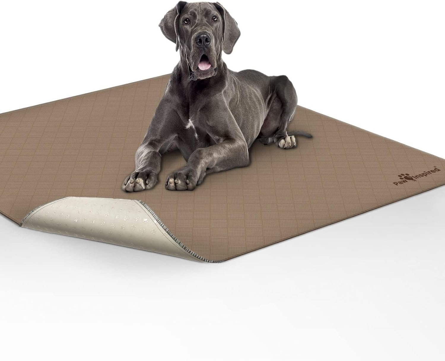 Washable Dog Pee Pad | Leakproof Non-Slip Potty Training Mat 72×72