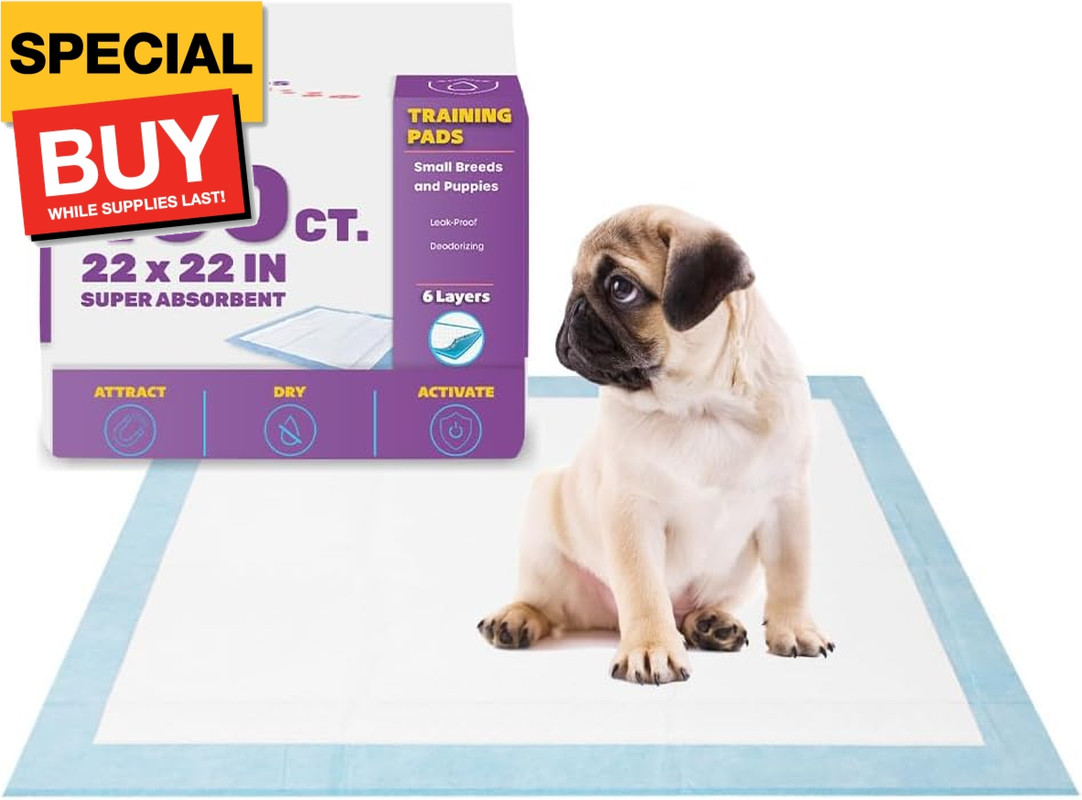 Puppy Pads Leak-Proof 100 Count 22″x 22″ | Pee Pads for Dogs Quick Absorb 6-Laye