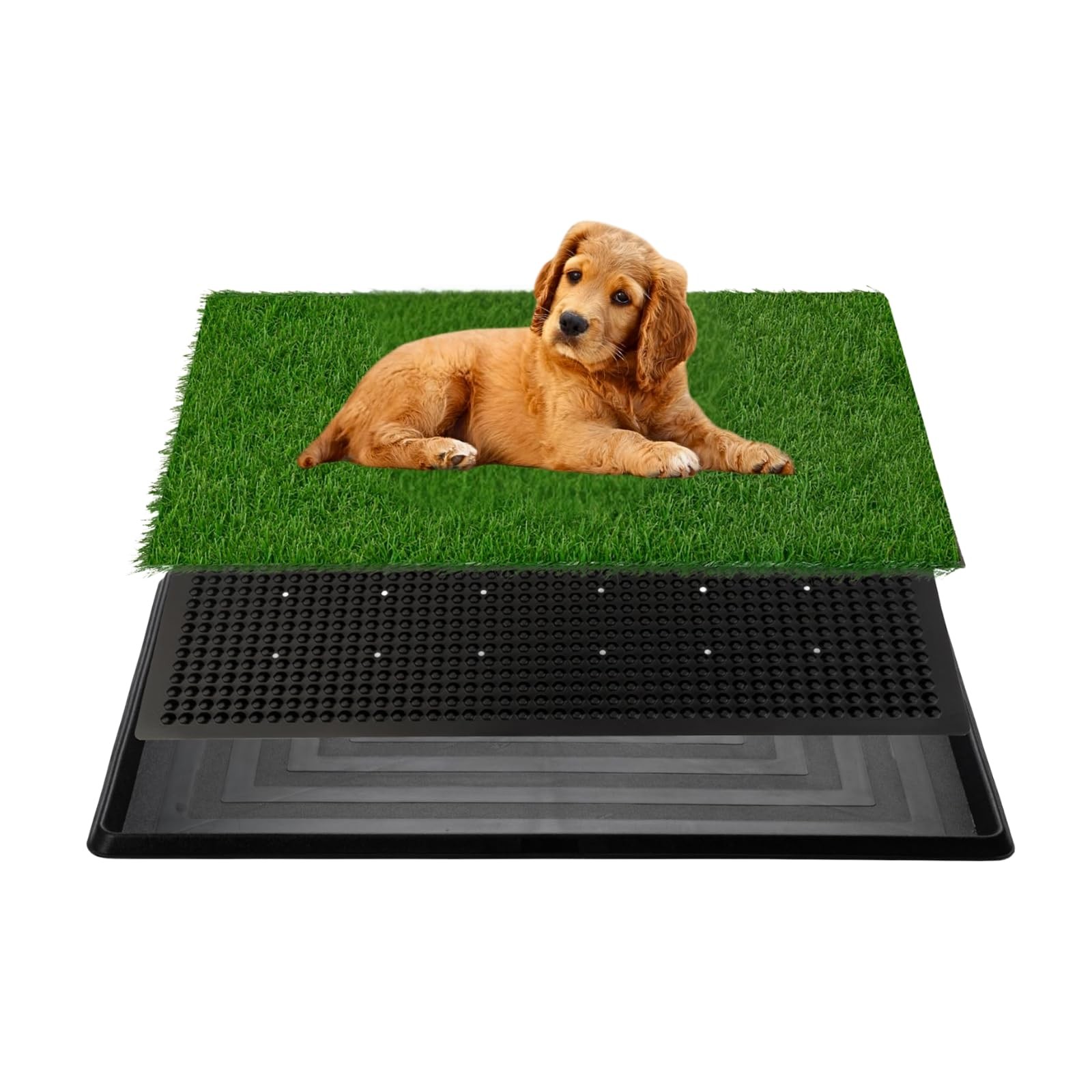 16×20 inch Dog Litter Box with Grass Pad Tray for Potty Training Absorbent
