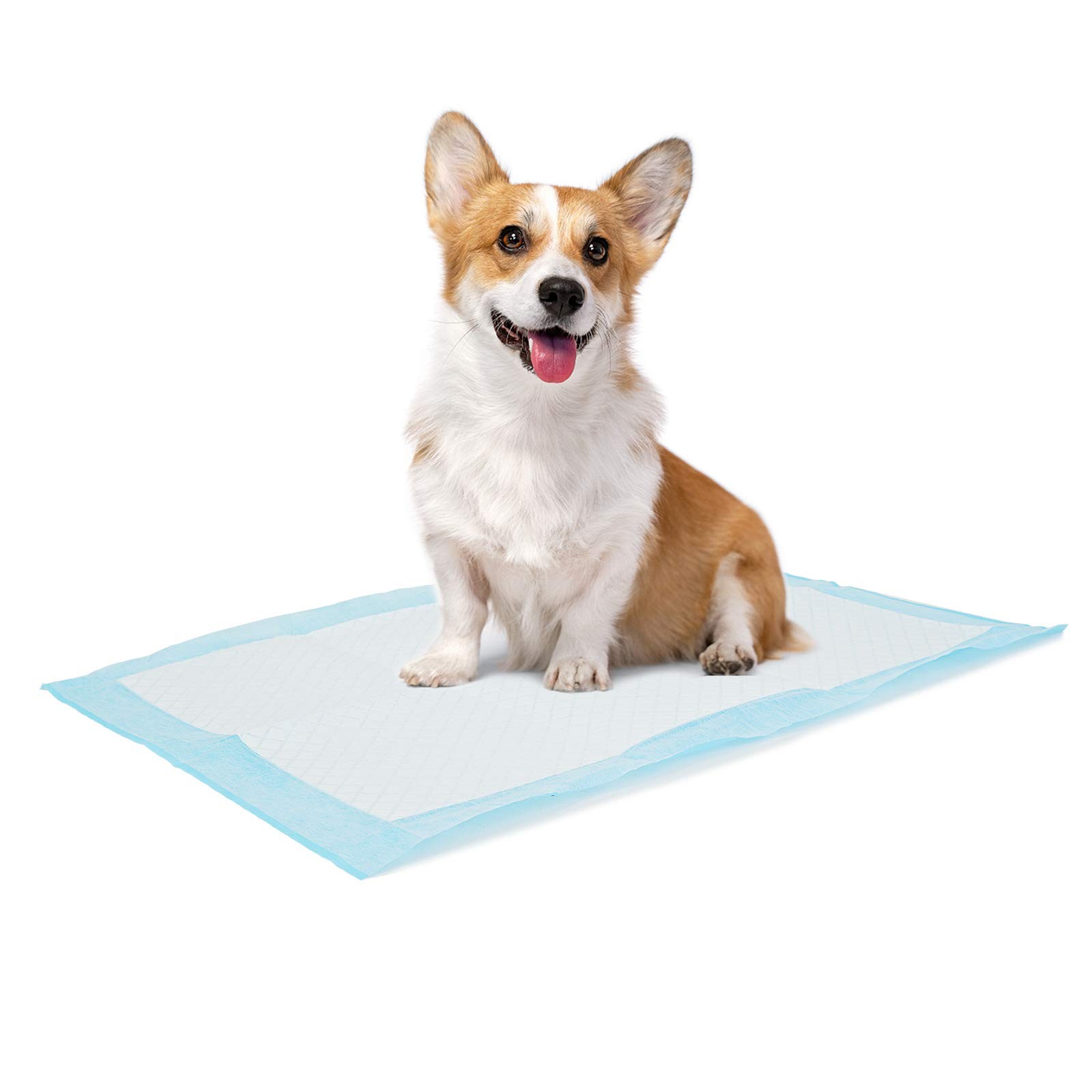 Bolux Dog and Puppy Training Pads, 13”×18” 13″*18″ (33*45cm) – 100 Counts, 1