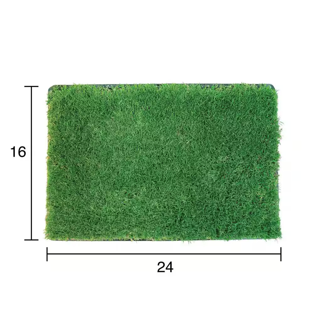 Gotta Go Grass Potty Pad Refill 2Pk + Treat + Waste Bags + Toy Ball + Squeaky To