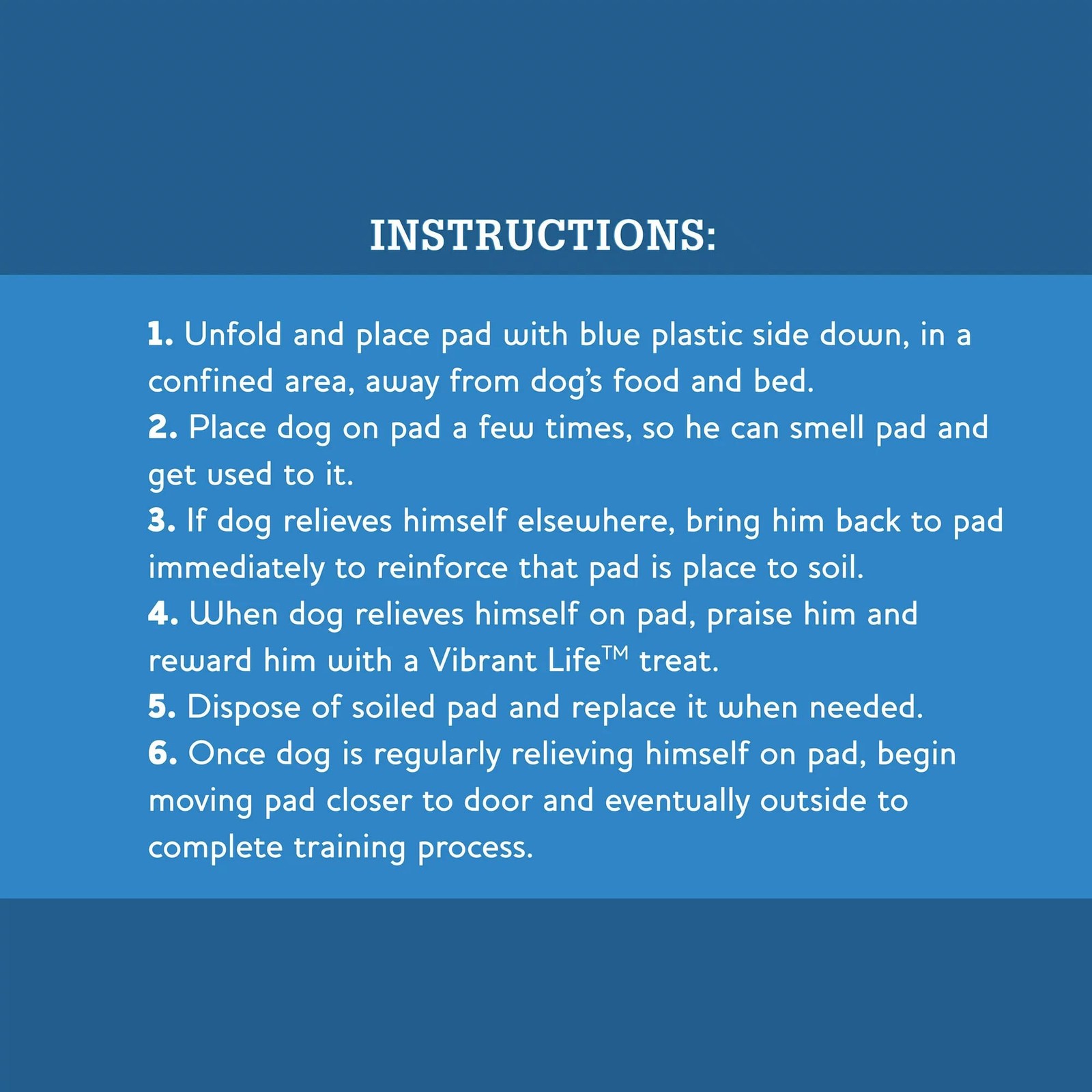 Pet All Star Training Pads 100 Count