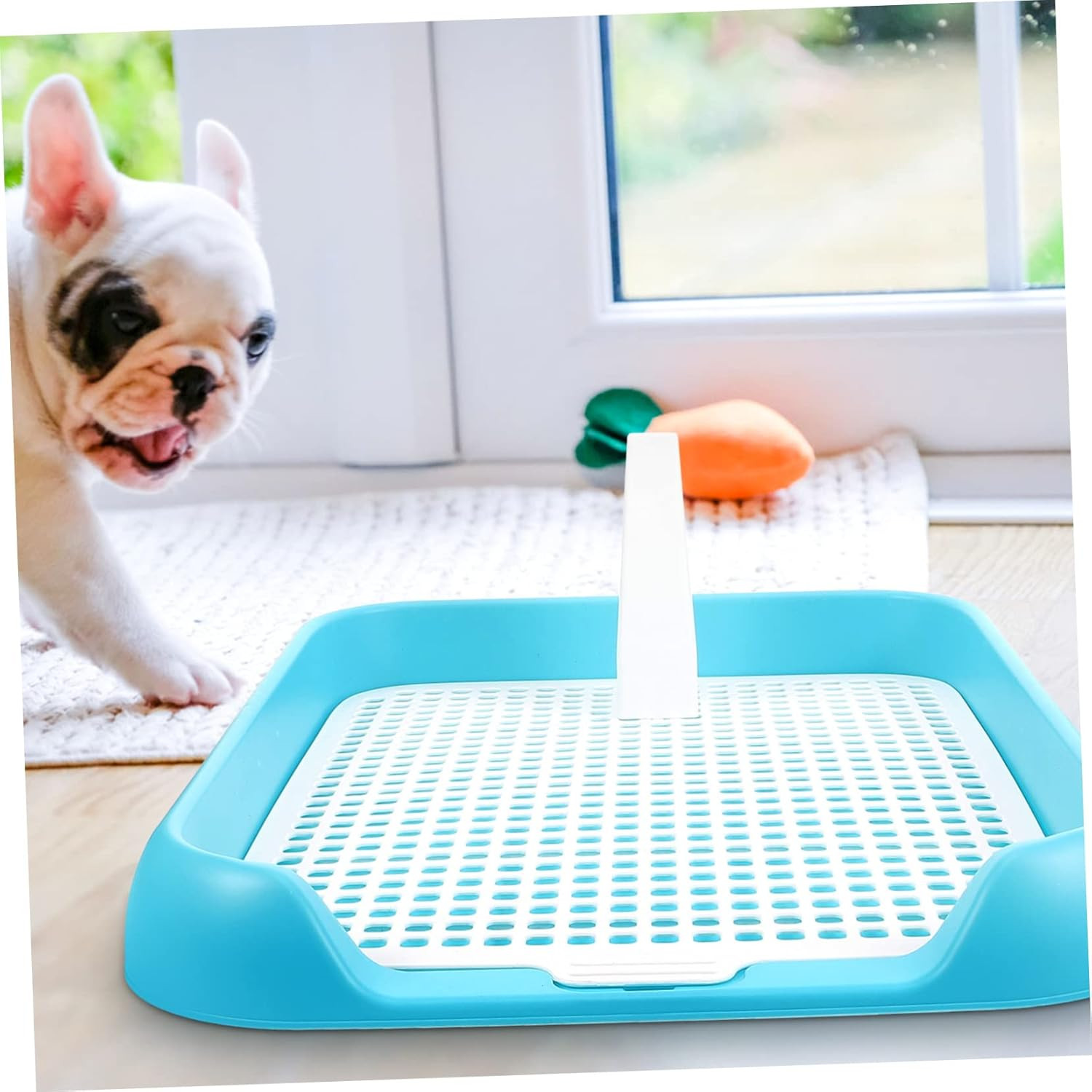 Indoor Dog Potty Tray with Non Slip Design for Small and Pets Easy to Clean Mesh
