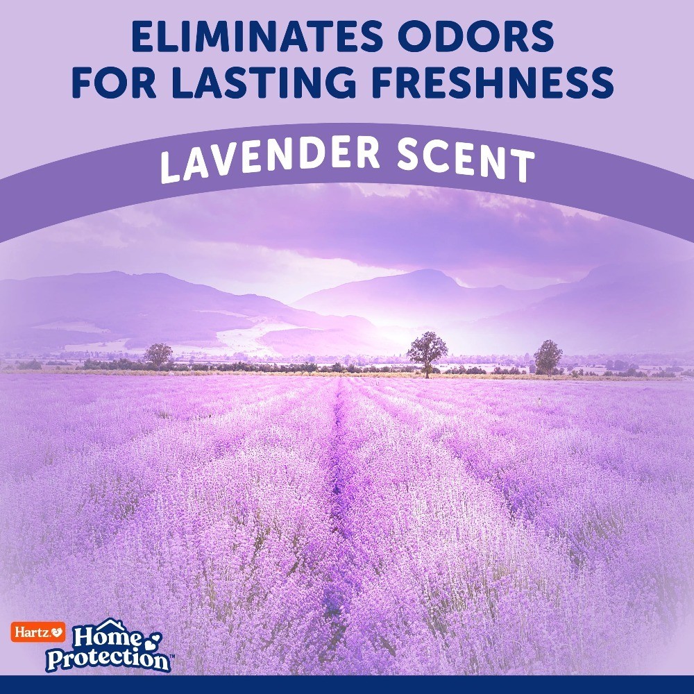 Super Absorbent Odor Eliminating Lavender Scented Dog Pads Regular 21×21 Inches