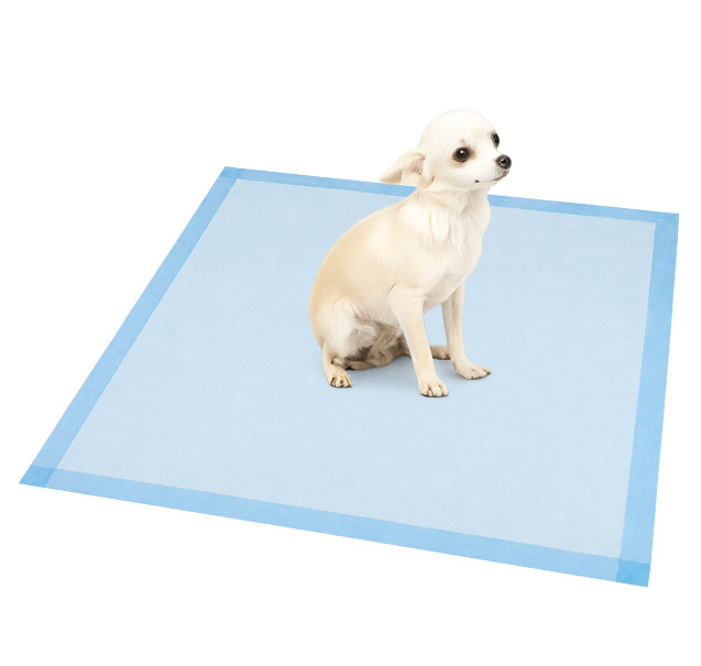 Pet Training Pads Puppy Pee Pads | Ultra Absorbent Leak-Proof Dog Potty Pads