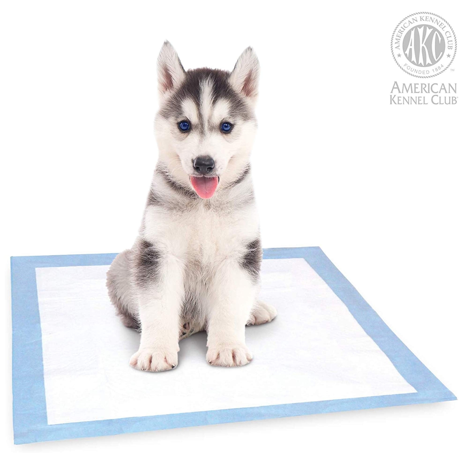 Puppy Training Pads Ultra Absorbent 6-Layer Leak-proof Protection with Quick …