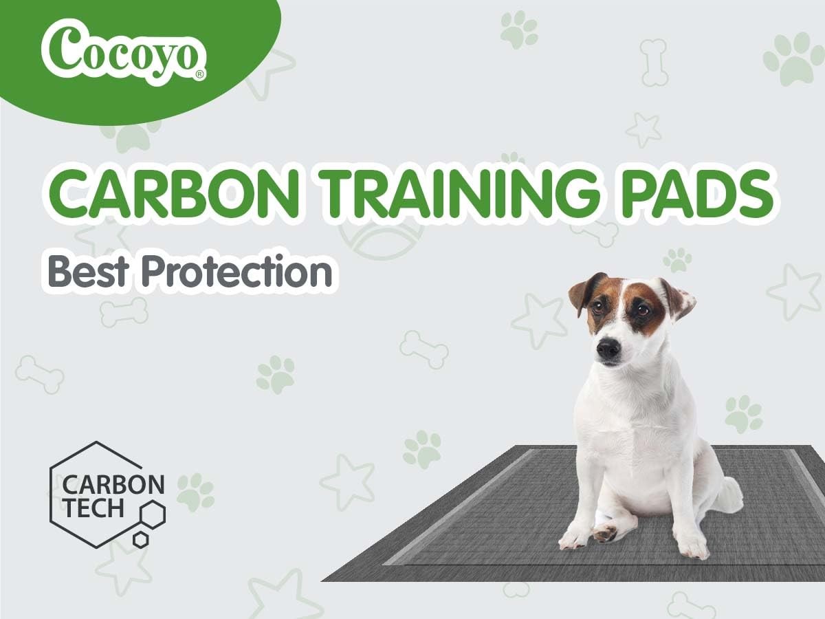 COCOYO Dog Training Pads丨Carbon Absorb 17.5″ x 23.5″ Charcoal, Black