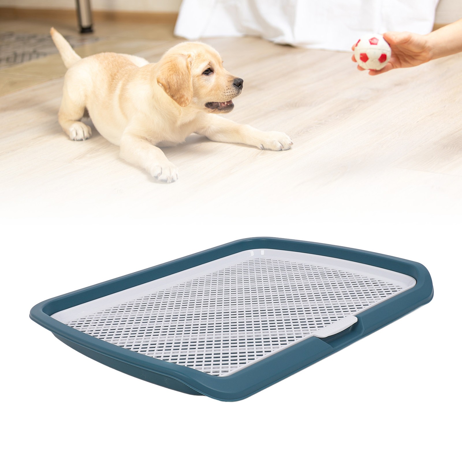 Puppy Potty Training Tray Detachable Washable Mesh Dog Pee Pad Holder Tray