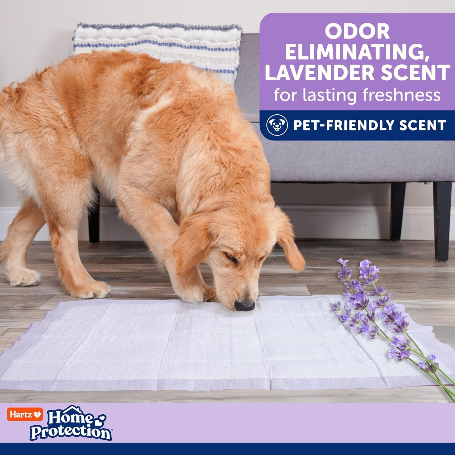 Lavender Scented XXL Dog Pads, 40ct – No Leaks!