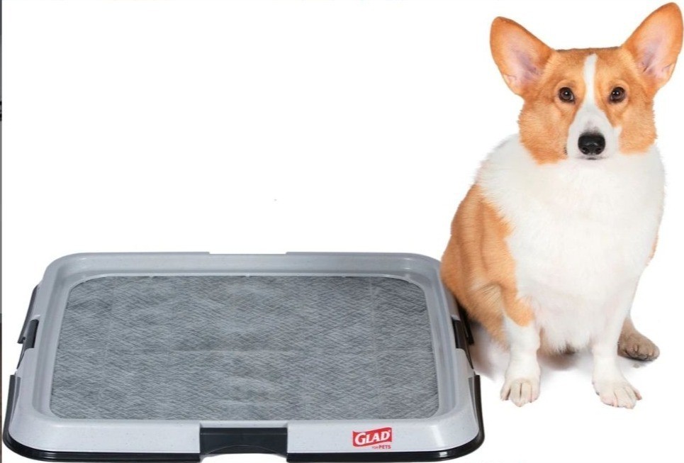 ColorGlad for Pets Washable Dog Training Potty Pad Holder 23″ X 23″