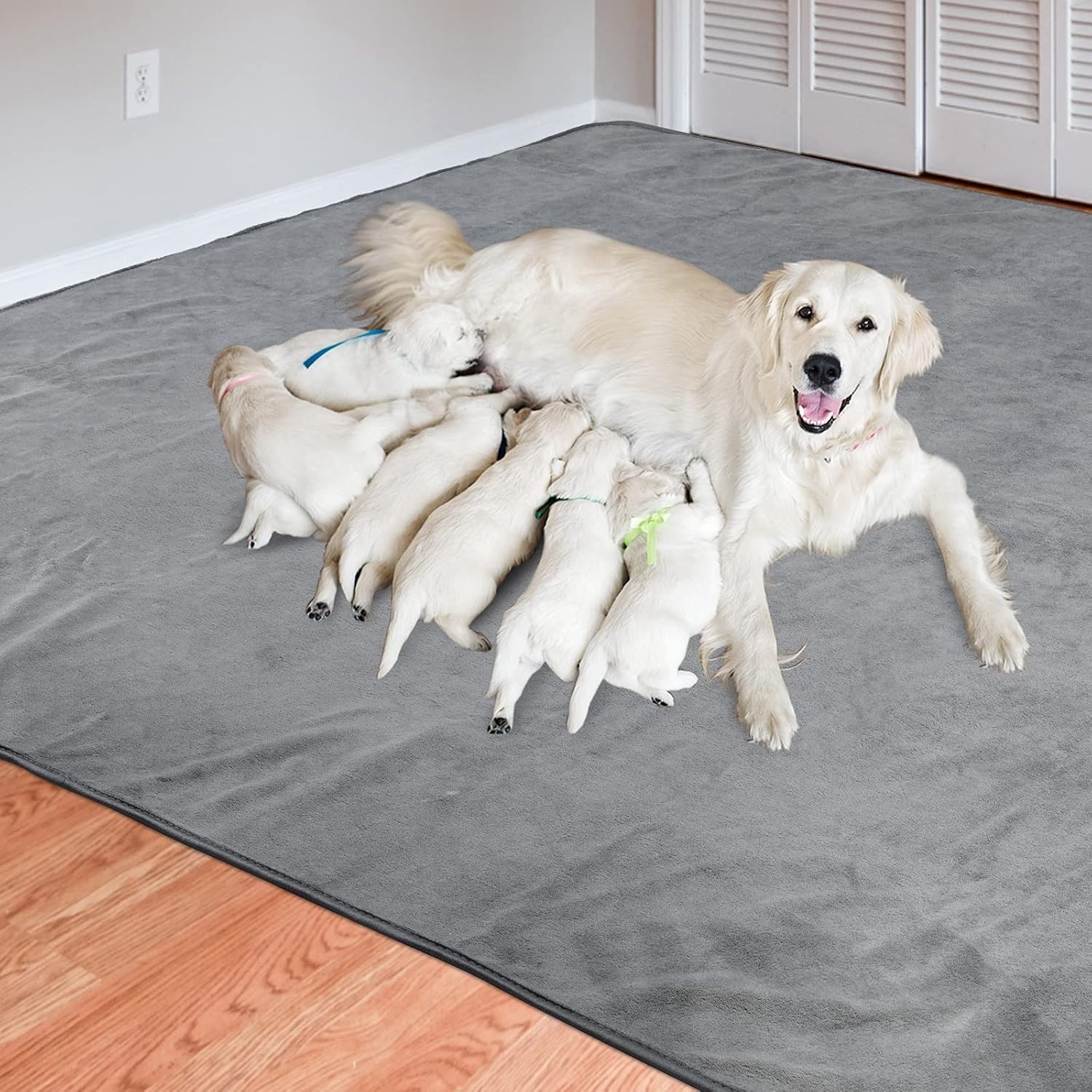 Dos almohadillas lavables 31″x36″ para perros absorbentes a prueba de fugas