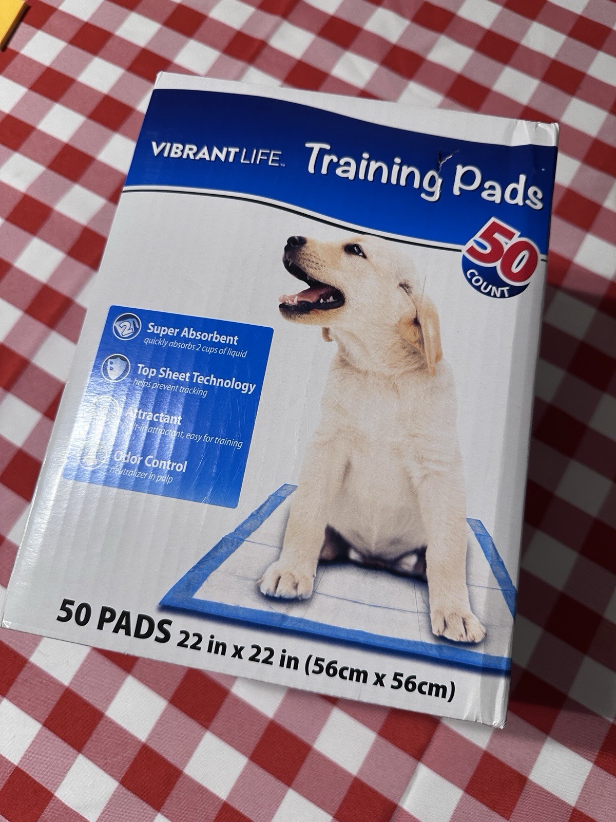 Vibrant Life Training Pads, Large, 22 in x 22 in, 50 Count