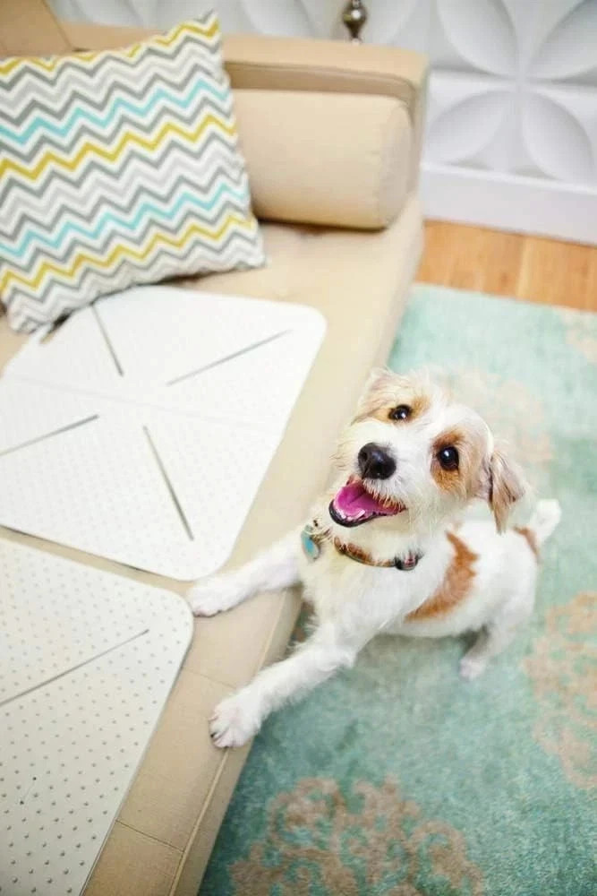 Pet Training Mat – Firm 18-Inch Non-Electric Deterrent for Dogs & Cats