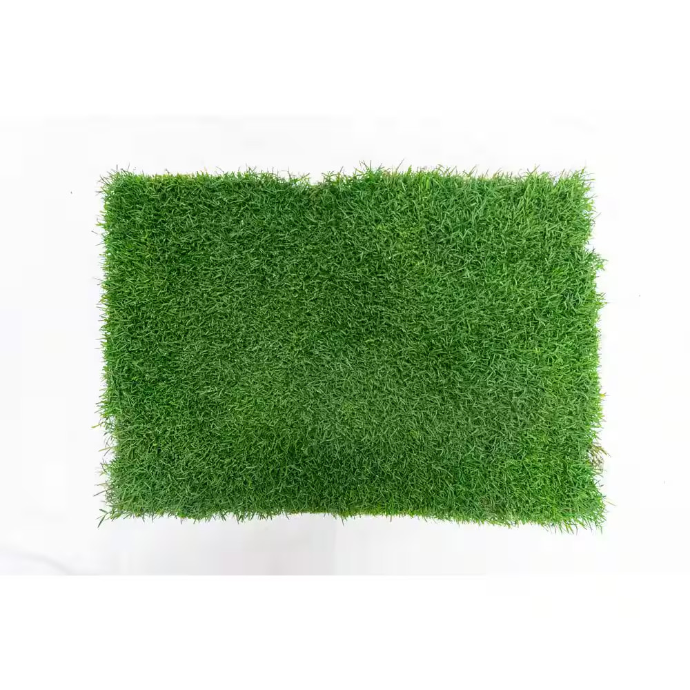 Gotta Go Grass
