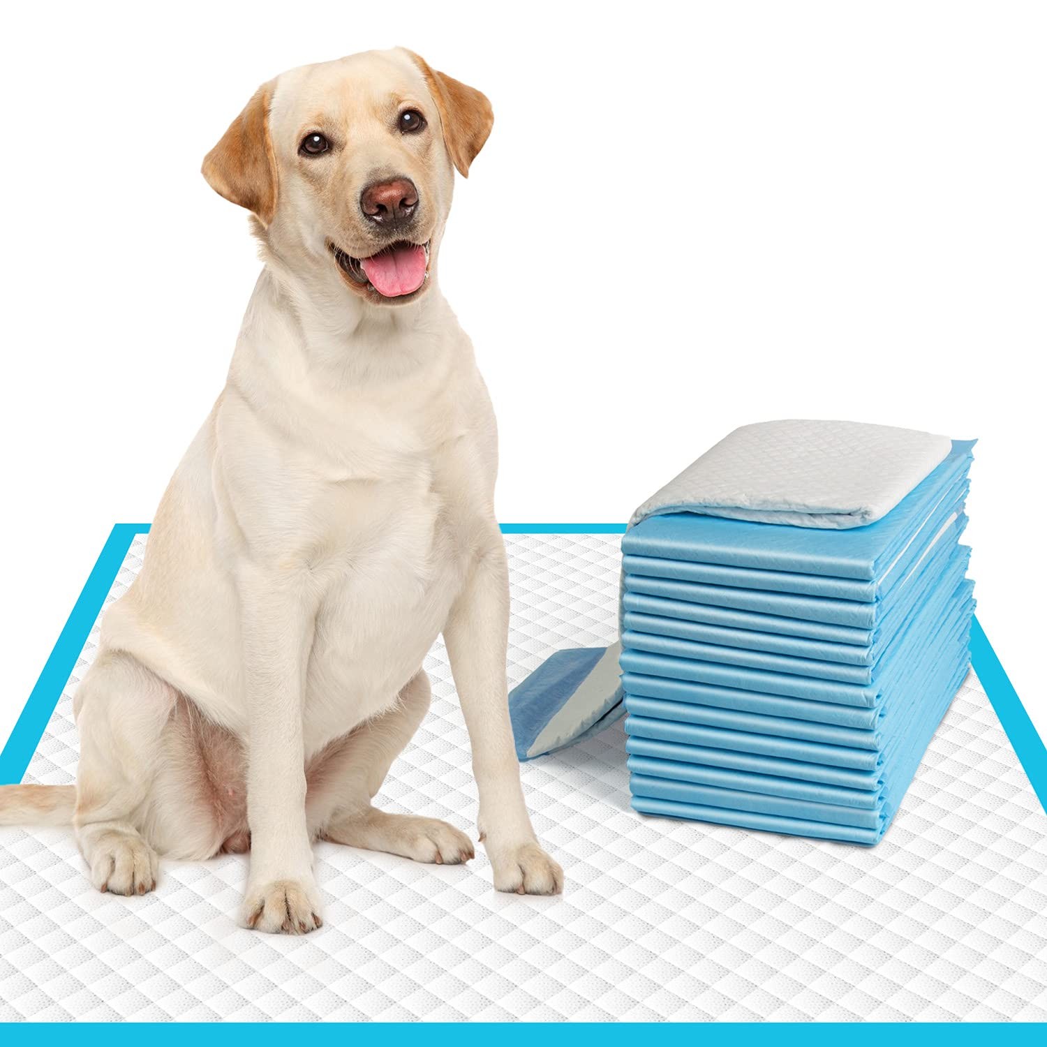 IMMCUTE Large Dog Pee Pads 28″x30″-50 Count | 30″ x 28″ (50Count), White