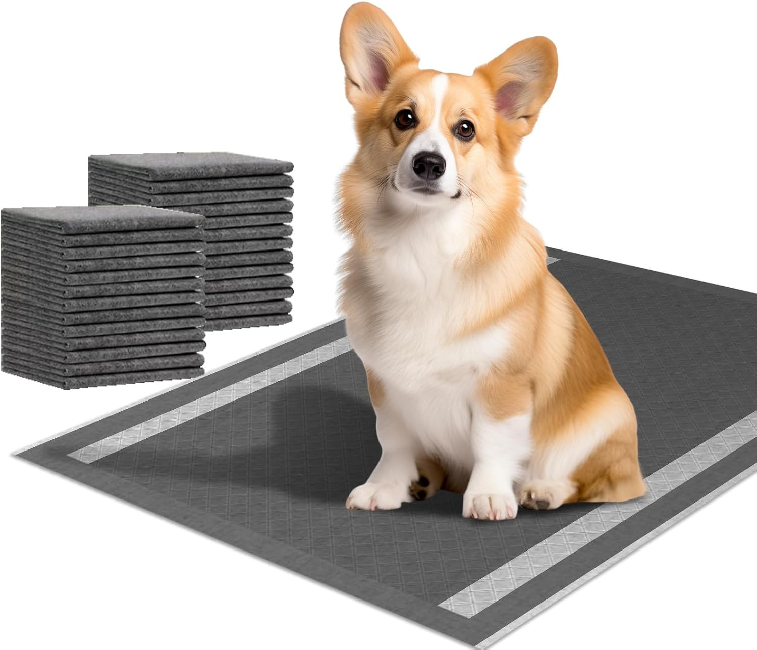Dog and Puppy Pee Pads 100 Count, 23” X 30” Charcoal Odor-Control Puppy Pads w